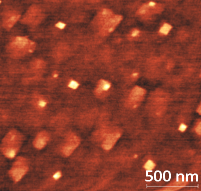AFM image